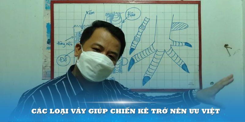 Đa dạng các loại vảy giúp chiến kê trở nên ưu việt